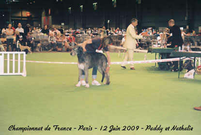 champ-france-juin09.jpg